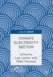 Cover von China's Electricity Sector