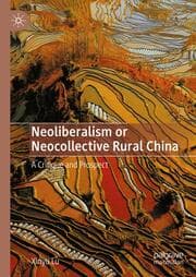 Cover von Neoliberalism or Neocollective Rural China