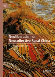 Cover von Neoliberalism or Neocollective Rural China