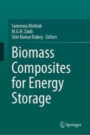 Cover von Biomass Composites for Energy Storage