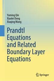 Cover von Prandtl Equations and Related Boundary Layer Equations
