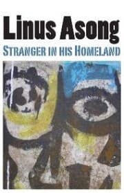 Cover von Stranger in his Homeland