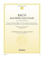 Cover von Jesus bleibet meine Freude