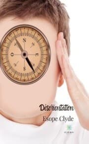 Cover von Désorientation