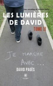 Cover von Les lumières de David - Tome 2