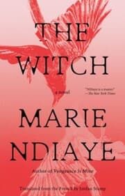 Cover von The Witch
