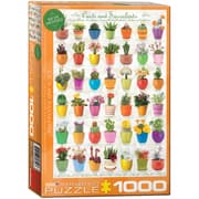 Cover von Cacti & Succulents