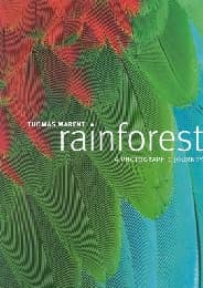Cover von Rainforest