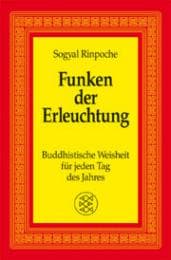Cover von Funken der Erleuchtung