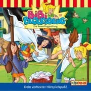 Cover von Die Besenflugprüfung