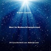Cover von Maxi im Weihnachtswunderland