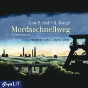 Cover von Mordsschnellweg