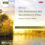 Cover von Die Abenteuer des Huckleberry Finn