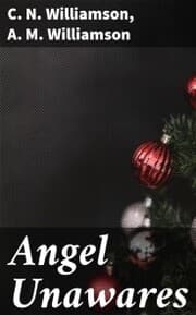 Cover von Angel Unawares