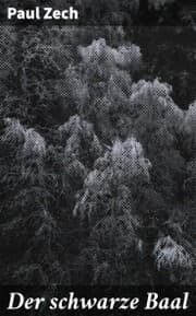 Cover von Der schwarze Baal