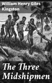 Cover von The Three Midshipmen