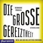 Cover von Die große Gereiztheit. Wege aus der kollektiven Erregung