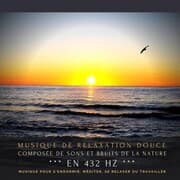 Cover von Musique de relaxation douce composée de sons et bruits de la nature en 432 Hz