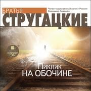 Cover von Piknik na obochine
