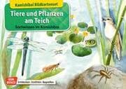 Cover von Tiere und Pflanzen am Teich