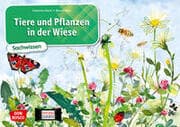 Cover von Tiere und Pflanzen in der Wiese