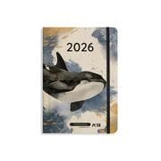 Cover von matabooks - A5 Kalender Samaya 2026 Farbe: Ocean Blue