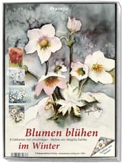 Cover von KK-Box Blumen blühen im Winter