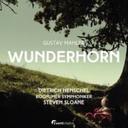 Cover von Wunderhorn