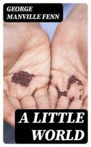 Cover von A Little World