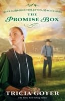 Cover von Promise Box