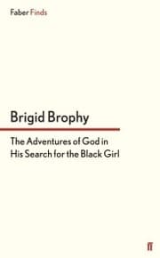 Cover von The Adventures of God in His Search for the Black Girl