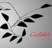 Cover von Calder