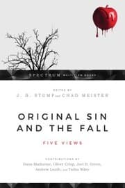 Cover von Original Sin and the Fall