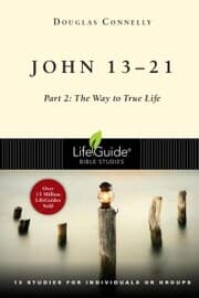 Cover von John 13-21