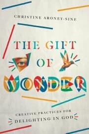 Cover von The Gift of Wonder
