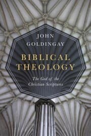 Cover von Biblical Theology