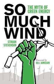 Cover von So Much Wind