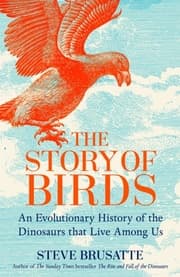 Cover von The Story of Birds