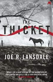 Cover von The Thicket