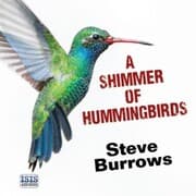 Cover von Shimmer of Hummingbirds, A
