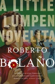 Cover von A Little Lumpen Novelita