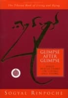Cover von Glimpse After Glimpse