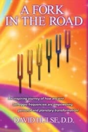 Cover von A Fork in the Road