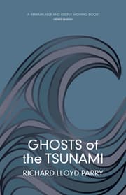 Cover von Ghosts of the Tsunami
