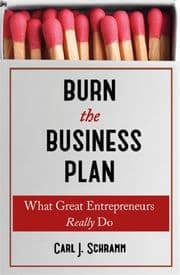 Cover von Burn the Business Plan