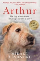 Cover von Arthur