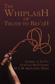 Cover von The Whiplash of Truth to Bid'ah