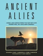 Cover von Ancient Allies