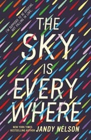 Cover von The Sky Is Everywhere