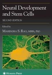 Cover von Neural Development and Stem Cells